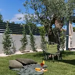 Maslina Vila Nova Vas (Porec)